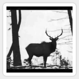 Rocky Mountain Elk Sticker